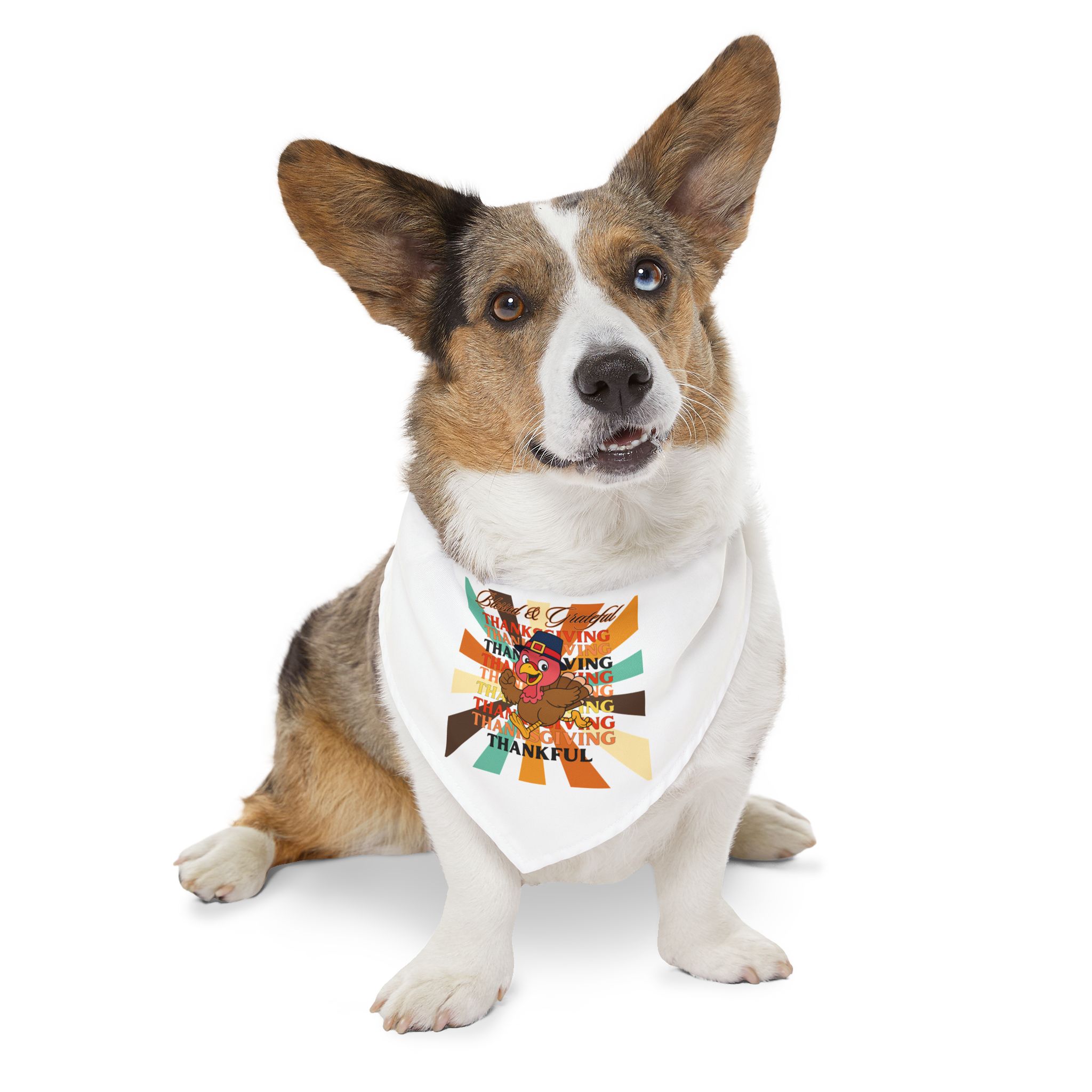 Pet Bandana Collar - Image 2
